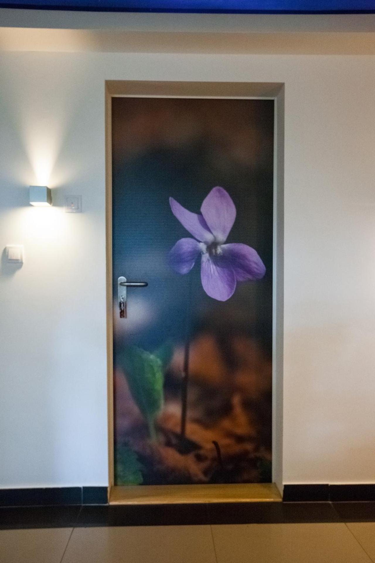 Vila Plamenac Divčibare Exteriér fotografie