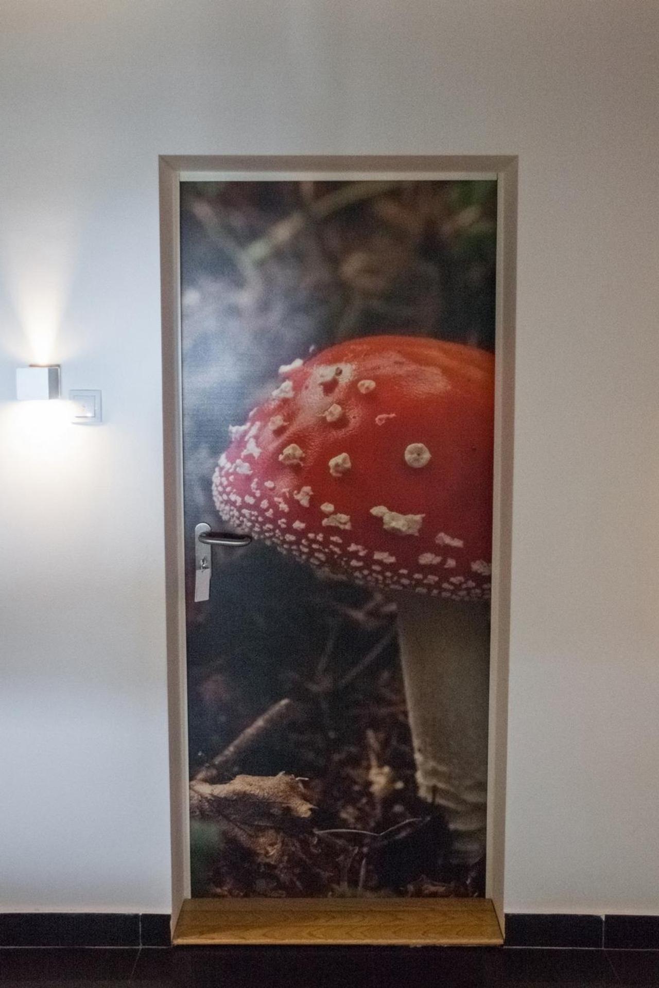 Vila Plamenac Divčibare Exteriér fotografie