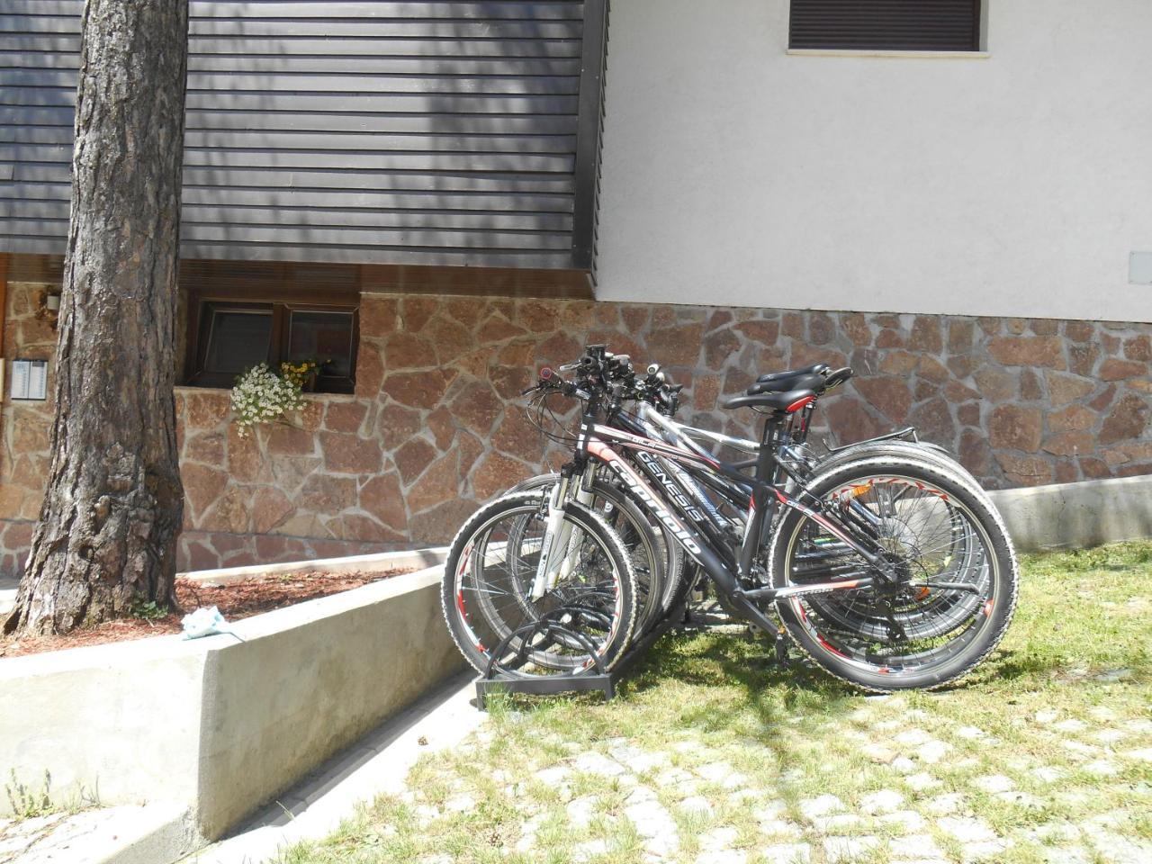 Vila Plamenac Divčibare Exteriér fotografie